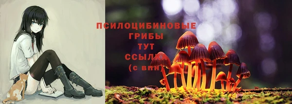 круглые Алзамай