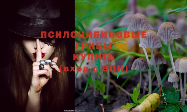 круглые Алзамай